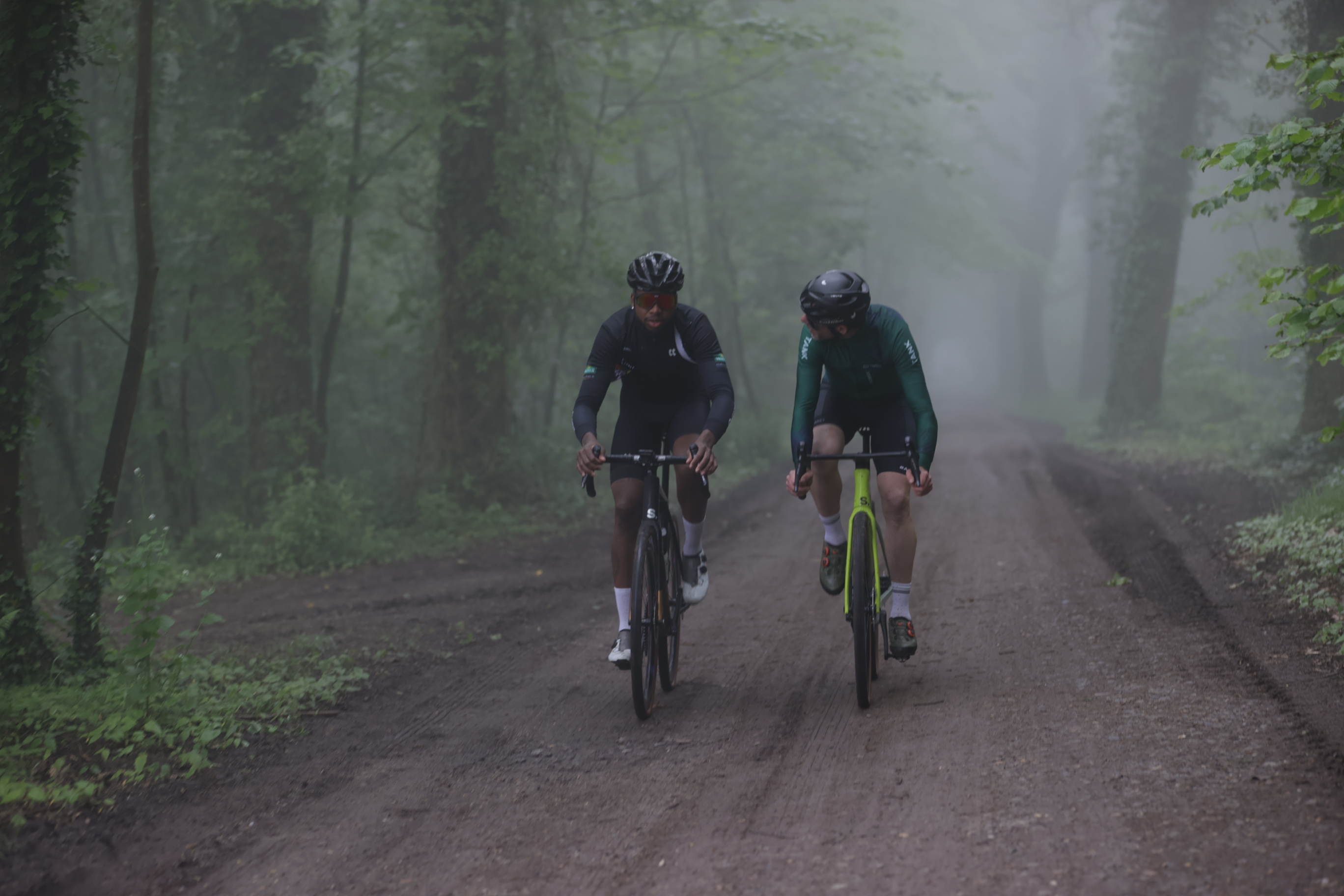 Gravel cyclists in Meerdaalwoud