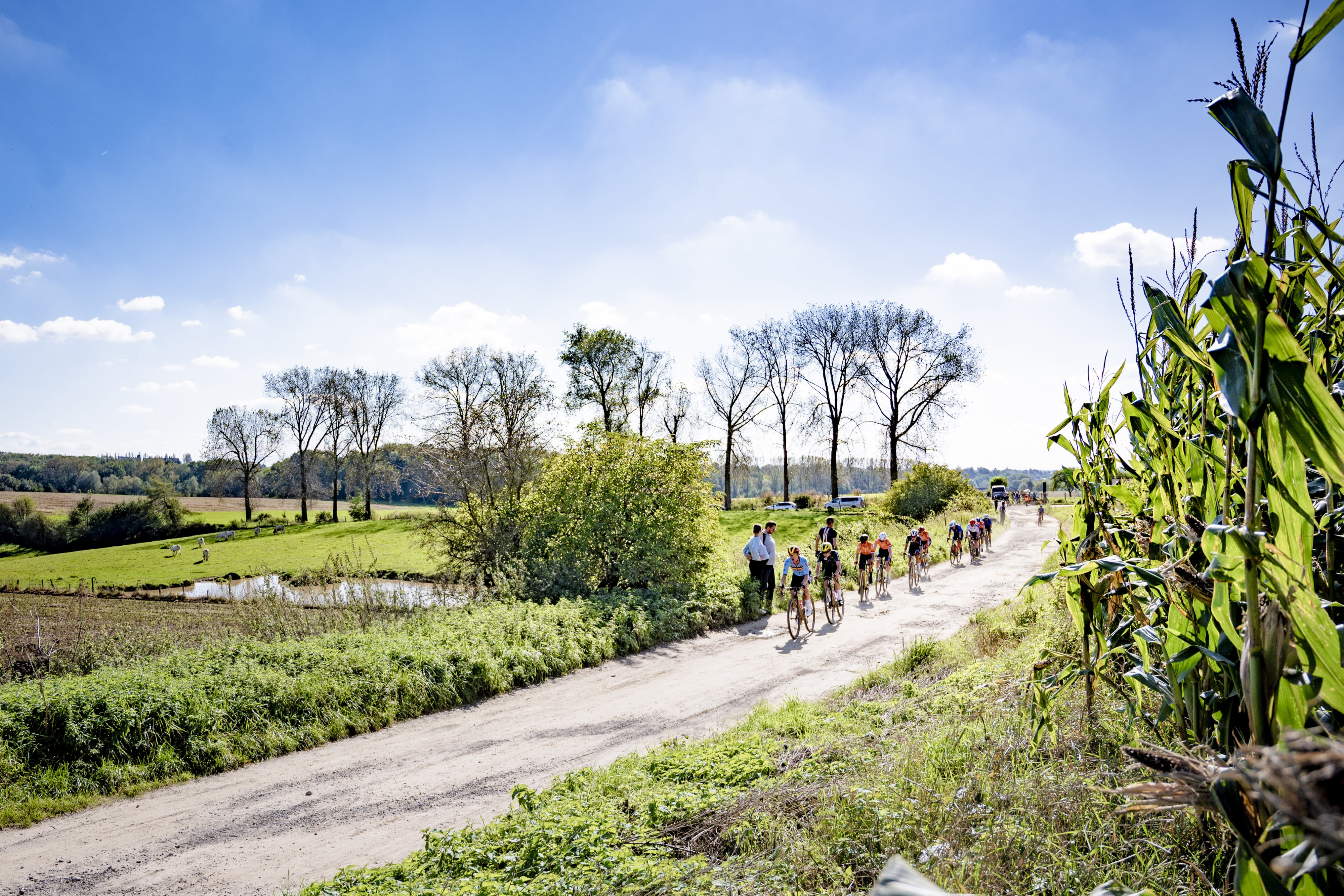 Gravel cyclists at the 2024 gravel world championships course