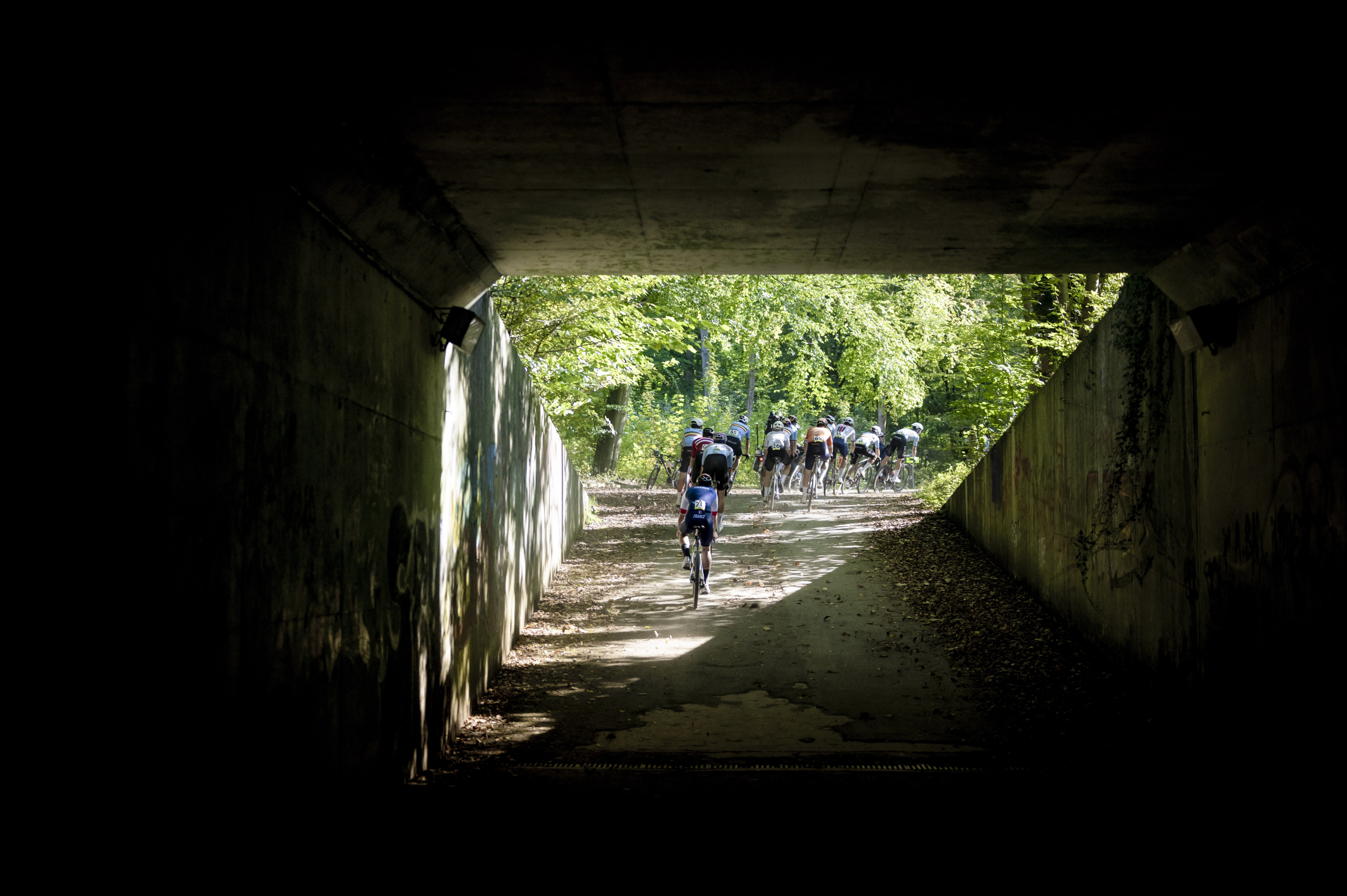 Gravel cyclists in Sonian Forest during gravel world championships