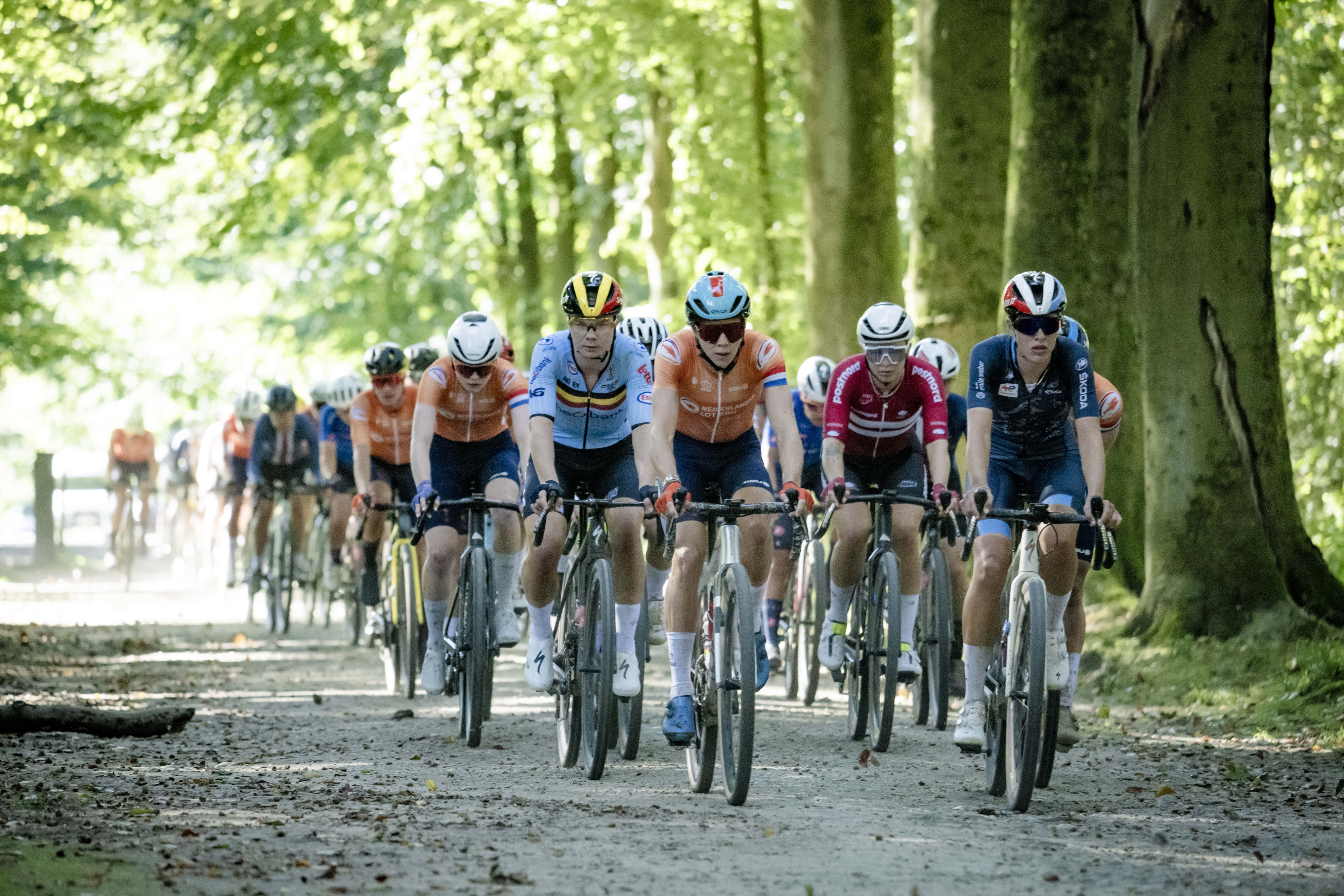 Gravel cyclists in Meerdaalwoud during 2024 gravel world championships