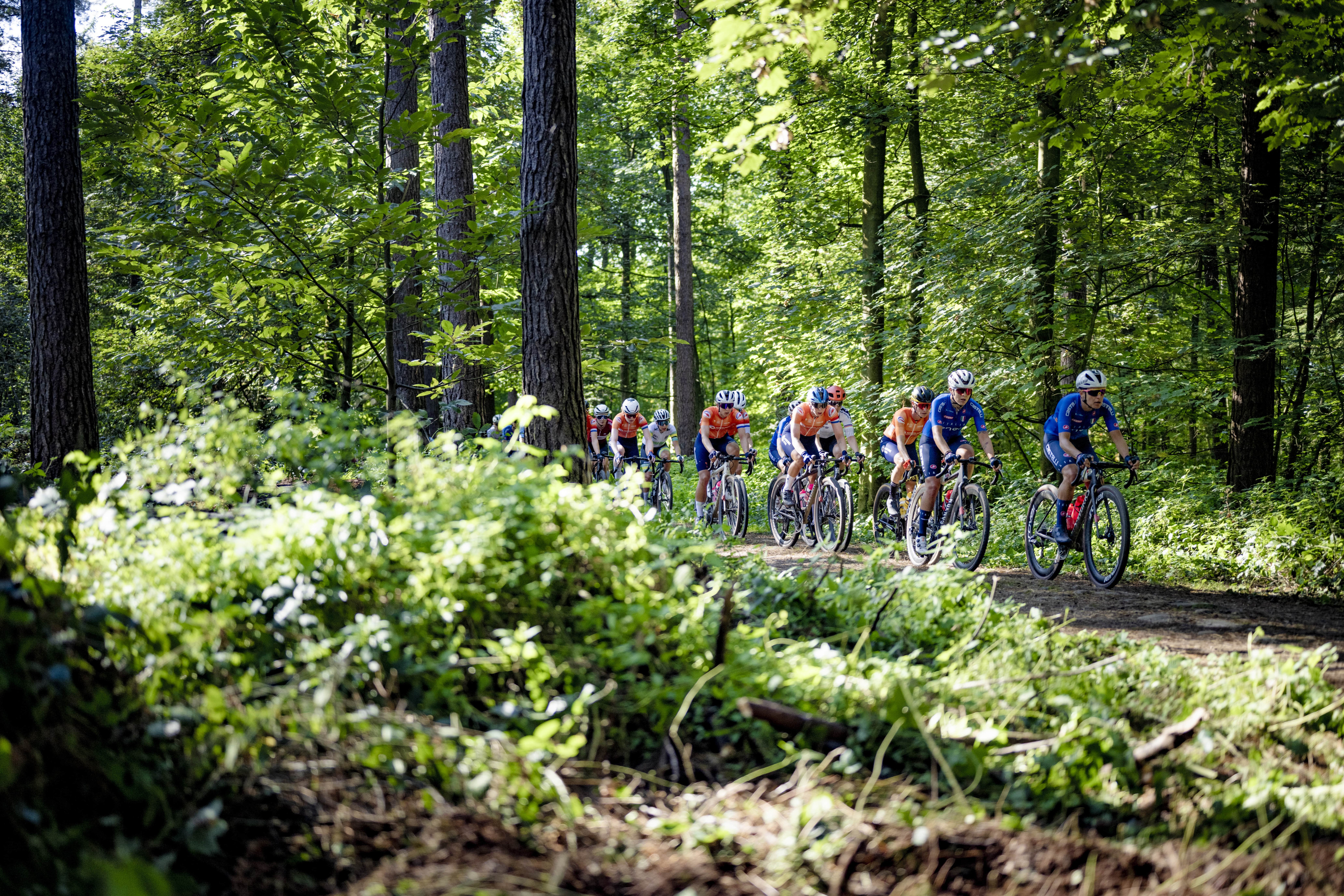 Gravel cyclists in Hallerbos during gravel world championships