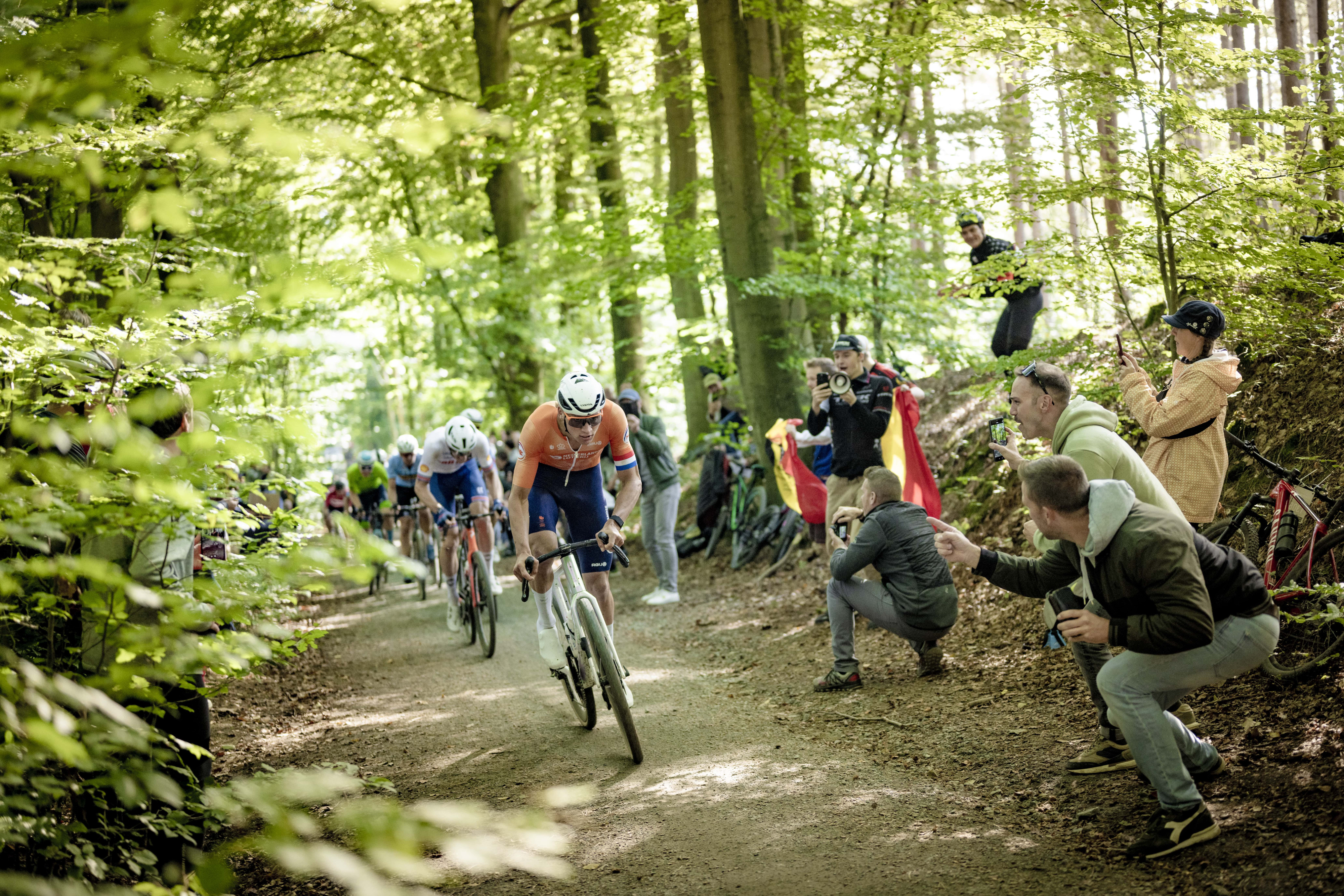 Gravel cyclists in Meerdaalwoud during 2024 gravel world championships