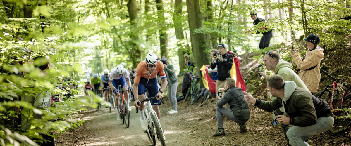 Gravel cyclists in Meerdaalwoud during 2024 gravel world championships